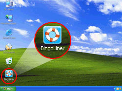 bingo liner desktop icon screenshot
