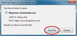 bingo liner download instructions save file