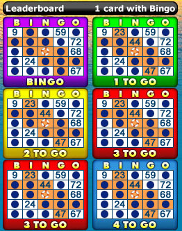 playing bingo liner 75 ball bingo game